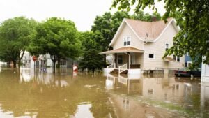 From Leaks to Floods: Proactive Steps to Avoid Water Damage in Your Home